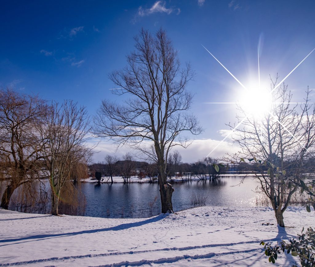 slider 14 copy