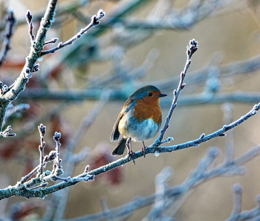 slider 7 copy
